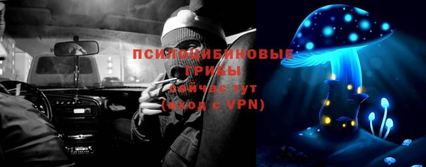 apvp Арсеньев