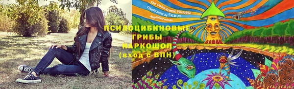 apvp Арсеньев