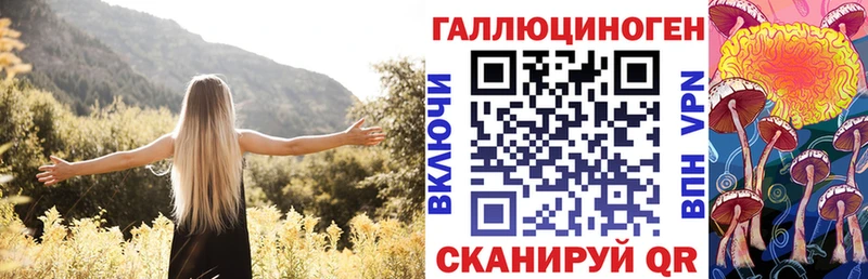 Псилоцибиновые грибы Psilocybine cubensis  магазин продажи   Пучеж 